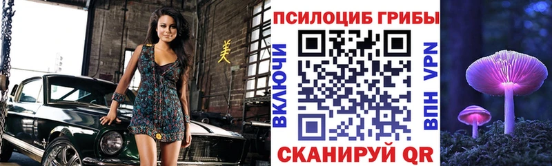 Галлюциногенные грибы Psilocybe  Брюховецкая 